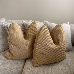 Pottery Barn 20” Pillow Cover set of 2